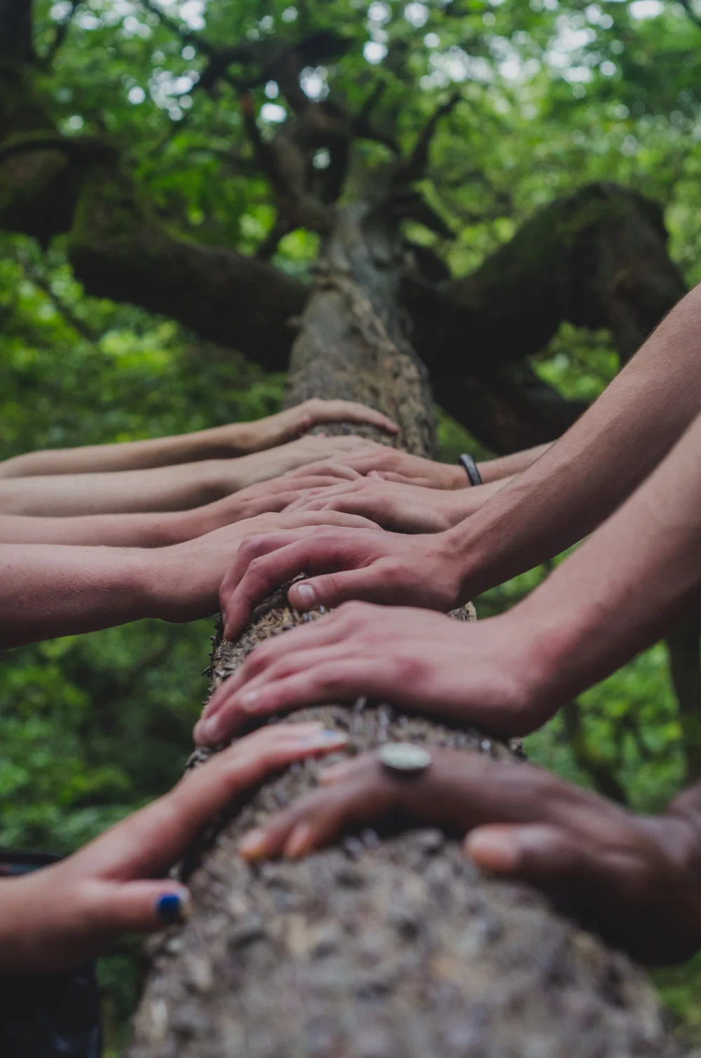 Community green earth plan
