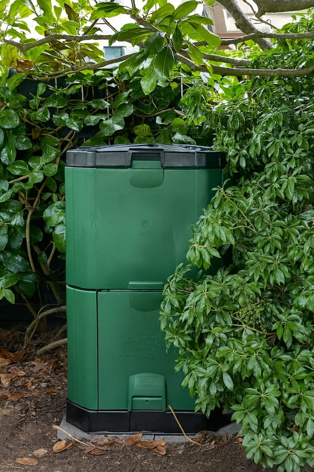 Nutrient-Rich Dark Living Humus Harvest